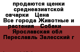 продаются щенки среднеазиатской овчарки › Цена ­ 30 000 - Все города Животные и растения » Собаки   . Ярославская обл.,Переславль-Залесский г.